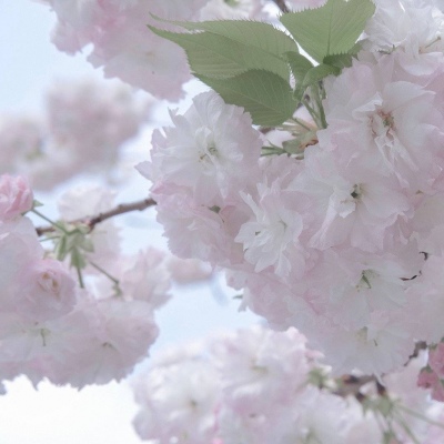 武陵FurryQQ群介绍